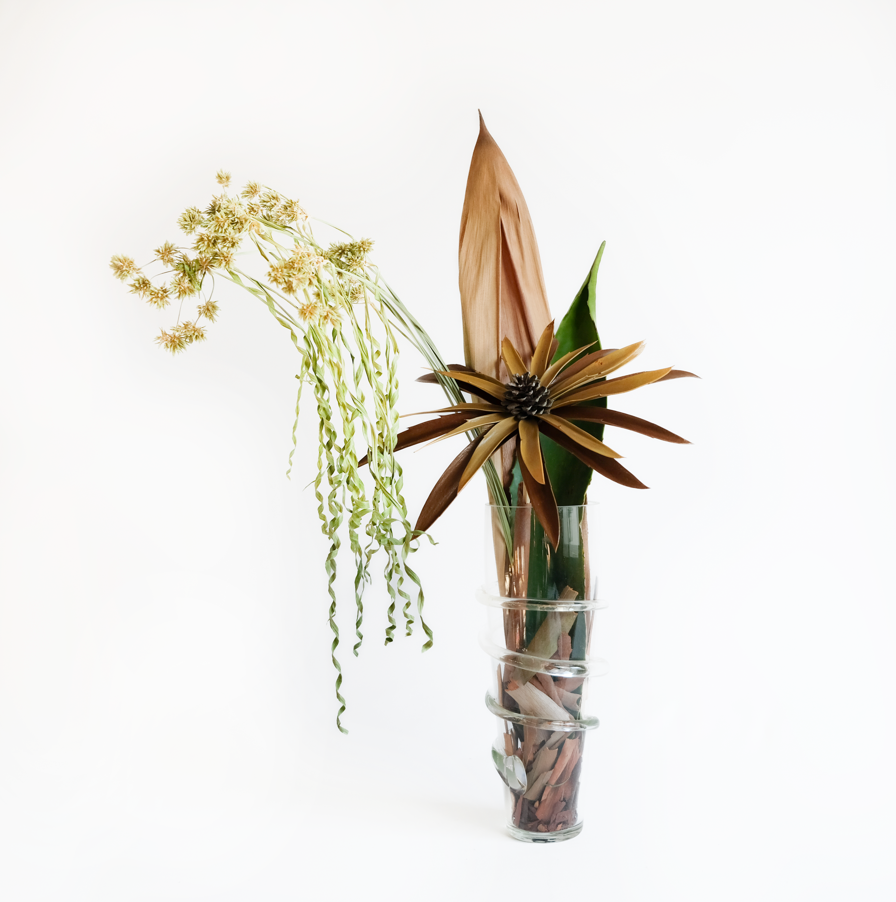 Botanical arrangement